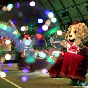 O Grande Desfile de Natal 4